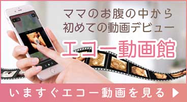 エコー動画館